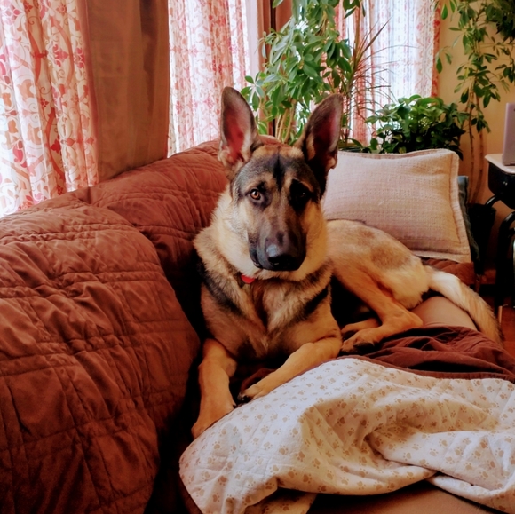 Meet your Posher, Maria - Picture 3 of 4